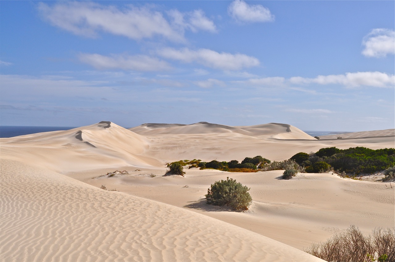 Coffin Bay National Park (2)