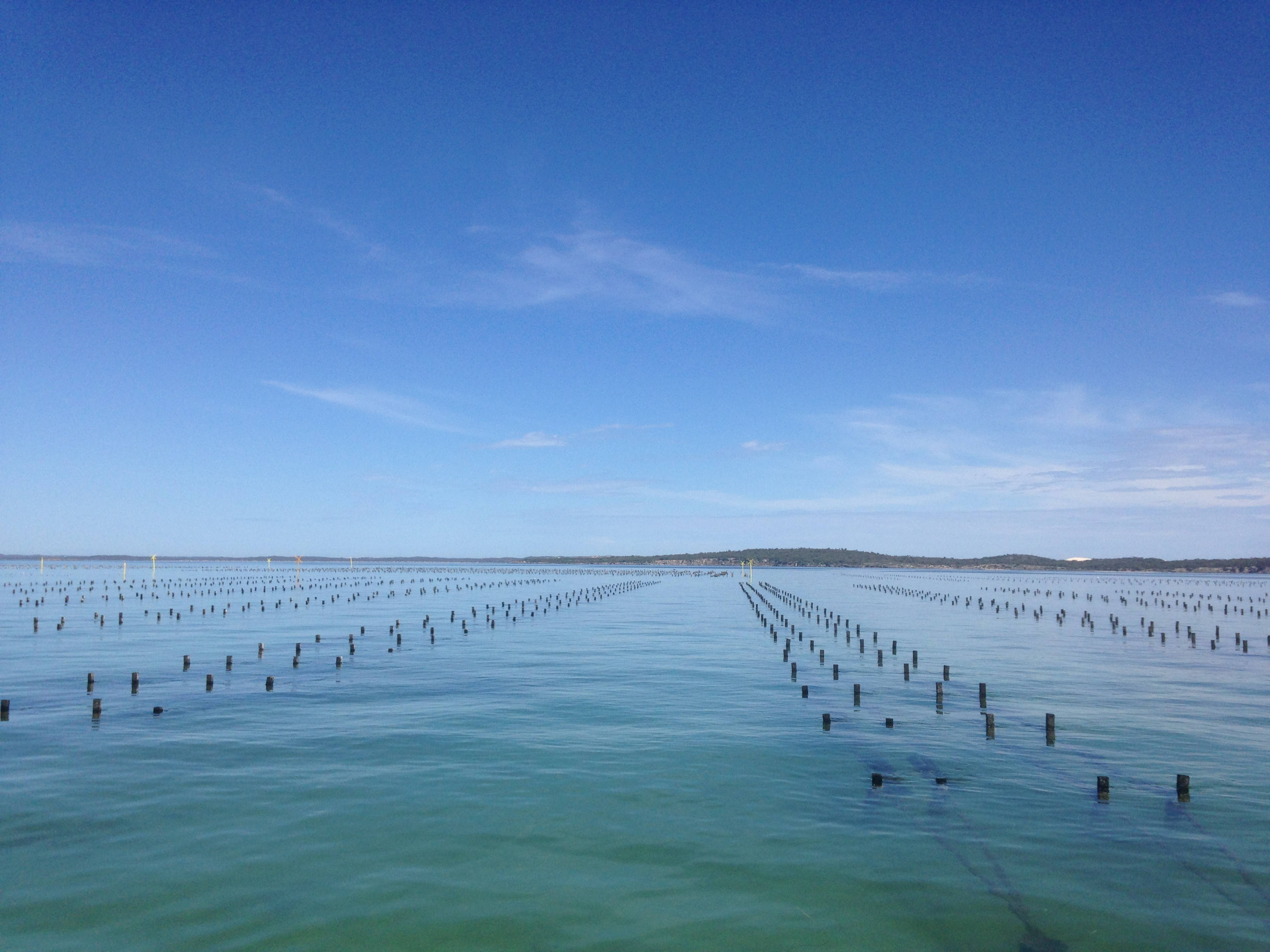 Coffin Bay Oyster Farm
